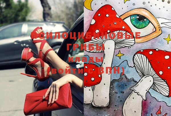 соль курить ск Алзамай