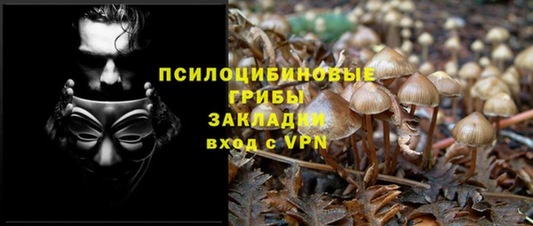 соль курить ск Алзамай