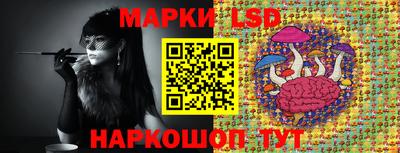 хмурый Дубна