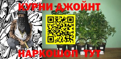 каннабис Донской