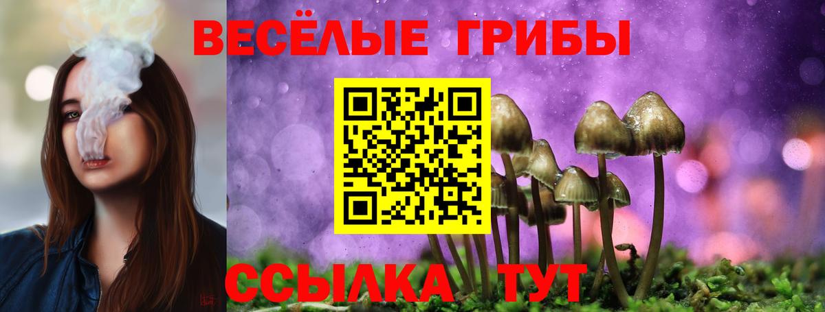 Галлюциногенные грибы мухоморы  Вход с VPN  Петропавловск-Камчатский  Псилоцибиновые грибы прущие грибы 