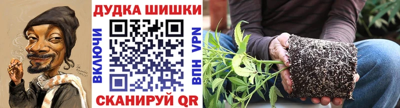 купить   Петропавловск-Камчатский  Марихуана сатива 